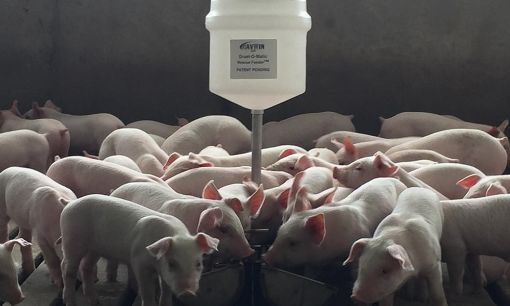 HavWin Gruel-O-Matic feeding HavWin Gruel-O-Matic feeding photo
